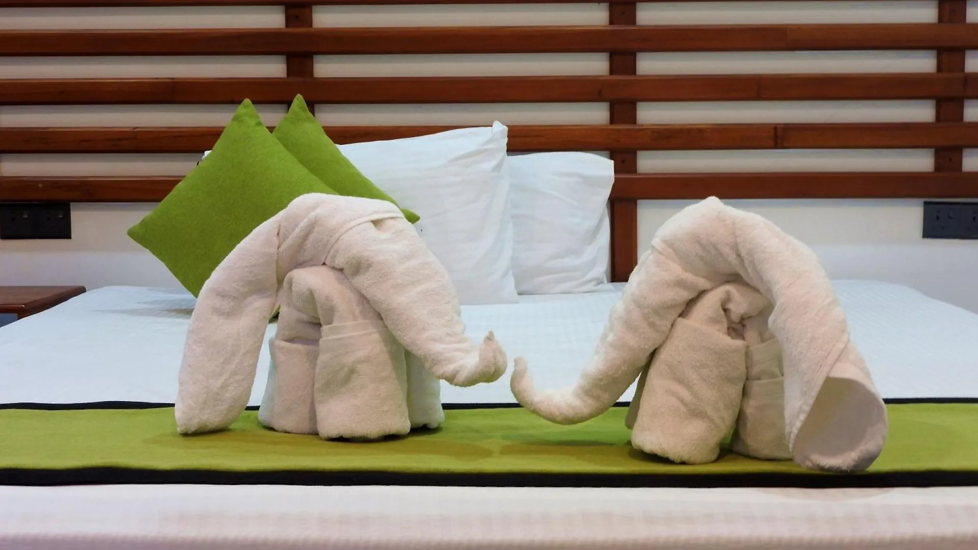 ホテル Green Heaven Resort キャンディー